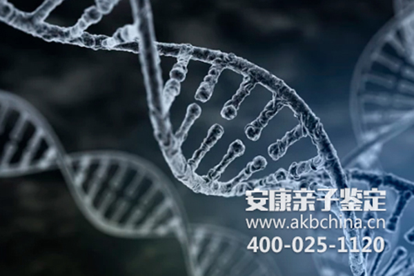 徐州盐城哪可以做DNA亲子鉴定中心？在哪里？大概要多少钱？ 