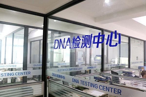 徐州DNA检测费用详解（了解不同类型DNA检测的收费方式及价格范围） 